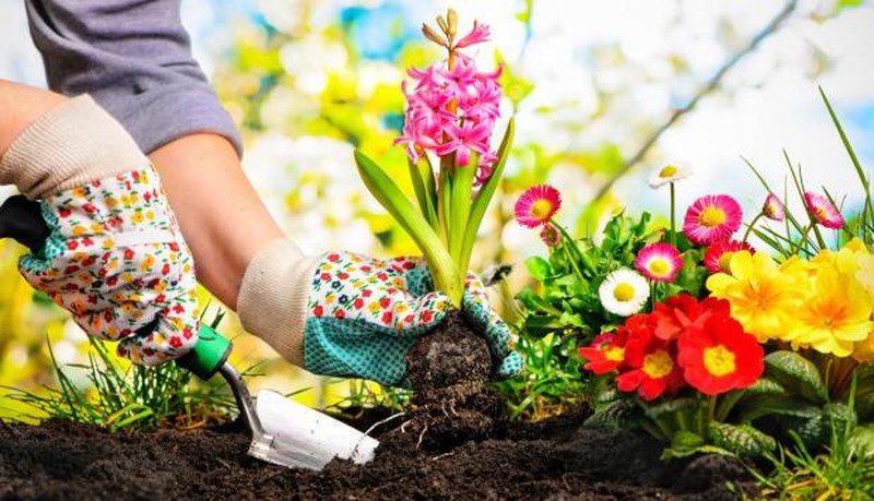 Outil à main indispensable pour l'entretien de votre jardin