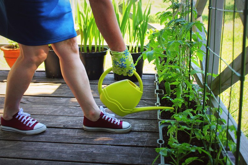 5 ways to start your own urban garden at home