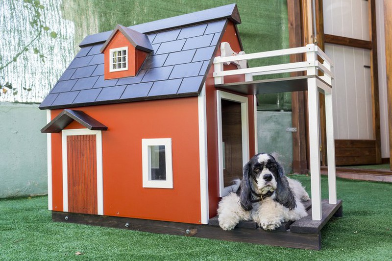 Couvrir la maison en bois avec des lattes en bois