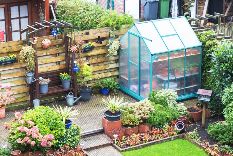 Enjoy your own mini-greenhouse