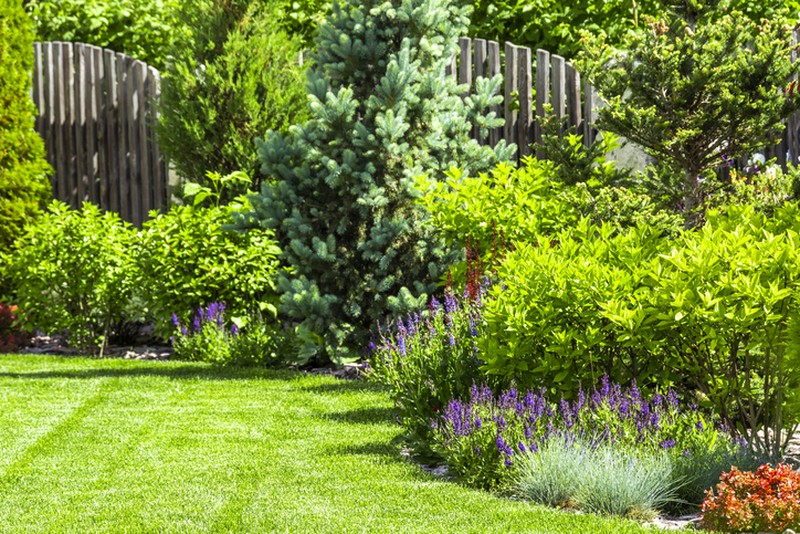 Decore o seu jardim