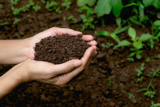 Fertilizantes Ecológicos