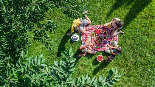 Grunderna för att organisera en familjens picknick