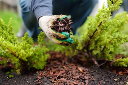 ¿Qué es el mulching? Descubre la técnica para cortar y abonar tu césped al mismo tiempo