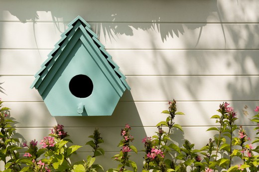 Wie man ein Haus für kleine Vögel baut