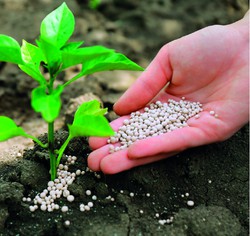 Manure and fertilizers