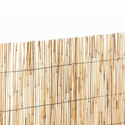 Cañizo bambú pelado rollo de 5 m.
