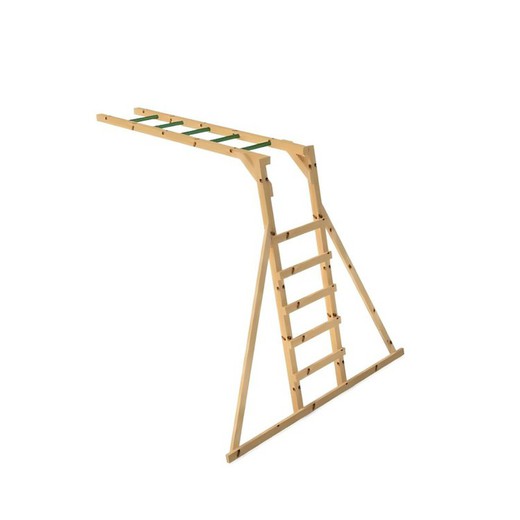 aap ladder