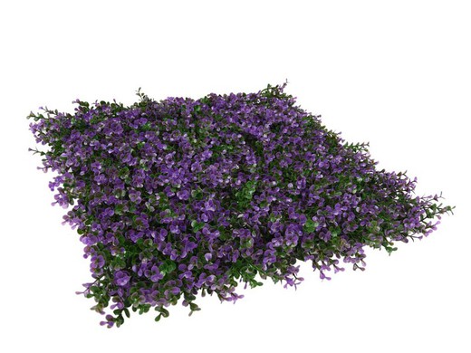 Confezione giardino verticale lavanda 50x50cm: 4u