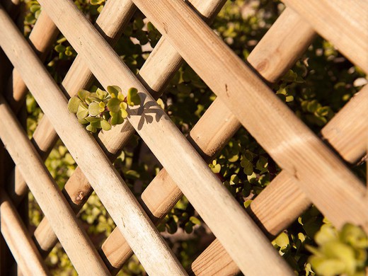 panel de madera rectro (varias medidas)