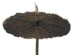parasol wrzosowy (kilka miar)