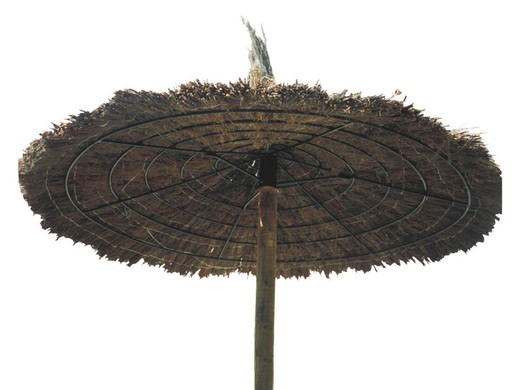 heather umbrella (several measures)