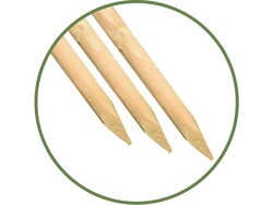 houten paal met punt (meerdere maten)