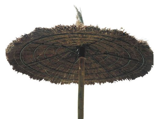 sombrilla de brezo (varias medidas)